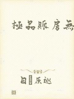 极品账房无弹窗