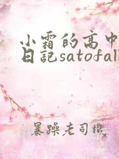 小霜的高中成长日记satofall
