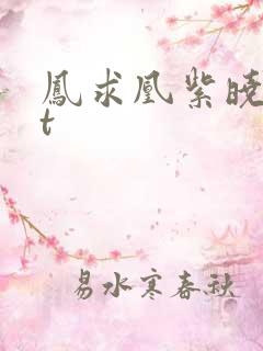 凤求凰紫晓txt