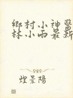 乡村小神医陆昊林小雨最新章节