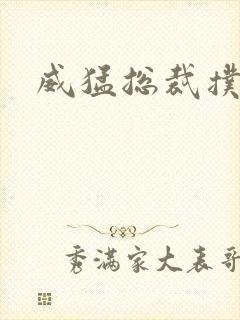 威猛总裁扑娇妻