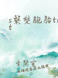 s系双胞胎txt