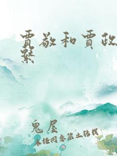 贾敬和贾政的关系