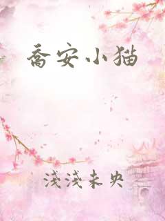 乔安小猫