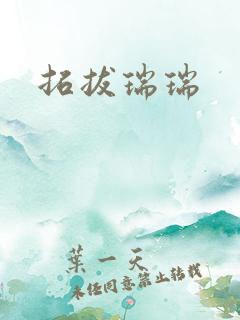 拓拔瑞瑞