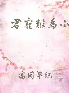 君宠难为小说
