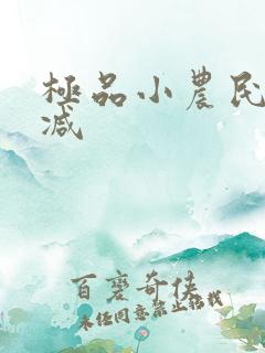 极品小农民无删减