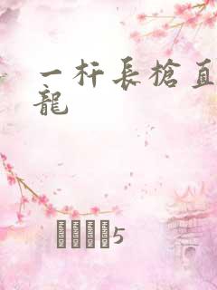 一杆长枪直捣黄龙