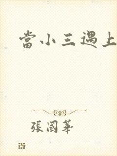 当小三遇上小四
