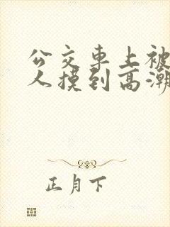 公交车上被陌生人摸到高潮