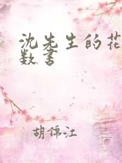 沈先生的花式调数书