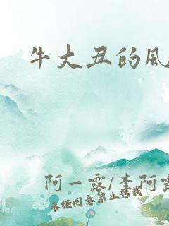 牛大丑的风流记