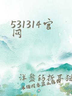 531314官网
