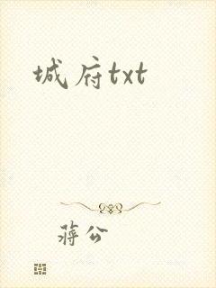 城府txt