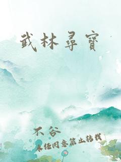 武林寻宝