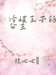 冷峻王子的完美公主