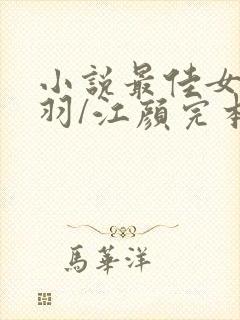 小说最佳女婿林羽/江颜完本