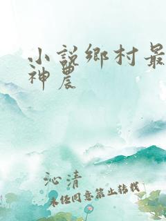 小说乡村最强小神农