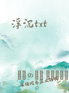 浮沉txt