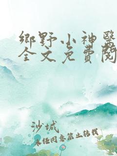 乡野小神医小说全文免费阅读