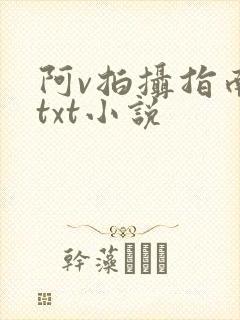 阿v拍摄指南说txt小说