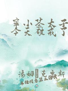 宁小茶太子殿下今天破戒了吗免费阅读