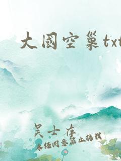 大国空巢txt