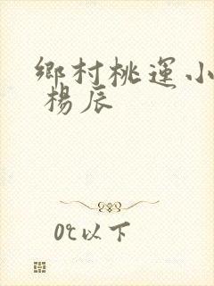 乡村桃运小神医 杨辰