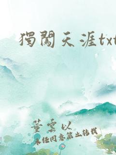 独闯天涯txt