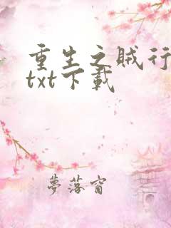 重生之贼行天下txt下载