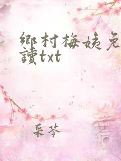 乡村梅姨免费阅读txt