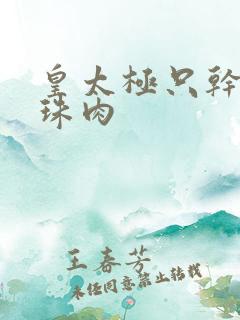 皇太极只干海兰珠肉