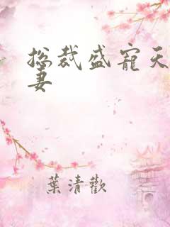 总裁盛宠天价娇妻