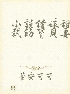 小说错嫁甜婚总裁的宝贝妻