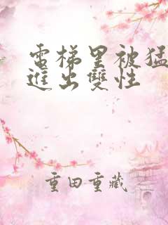 电梯里被猛烈的进出双性