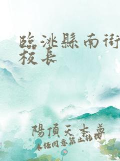 临洮县南街小学校长