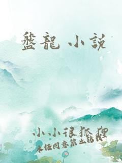 盘龙 小说