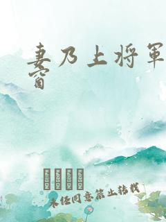 妻乃上将军无弹窗