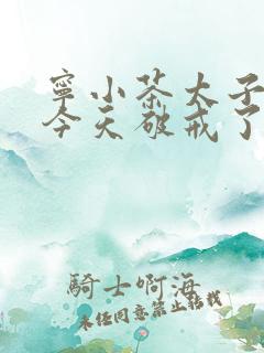 宁小茶太子殿下今天破戒了吗免费阅读