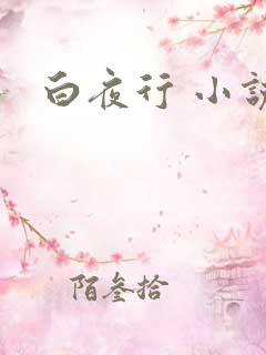 白夜行 小说