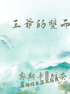 王爷的双面王妃