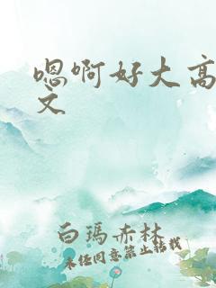 嗯啊好大高h辣文