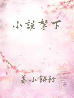 小说拿下