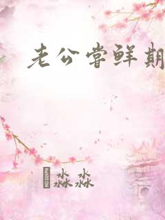 老公尝鲜期
