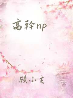 高干np