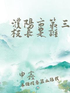 濮阳市第三小学校长是谁