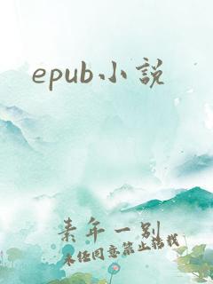 epub小说