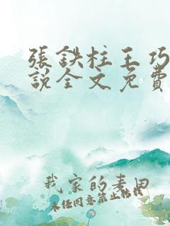 张铁柱王巧花小说全文免费阅读