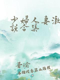 少妇人妻激情小说合集