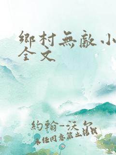 乡村无敌小医仙全文